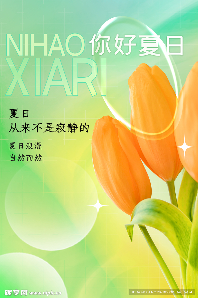 你好夏天