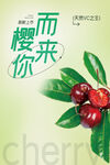 樱桃海报