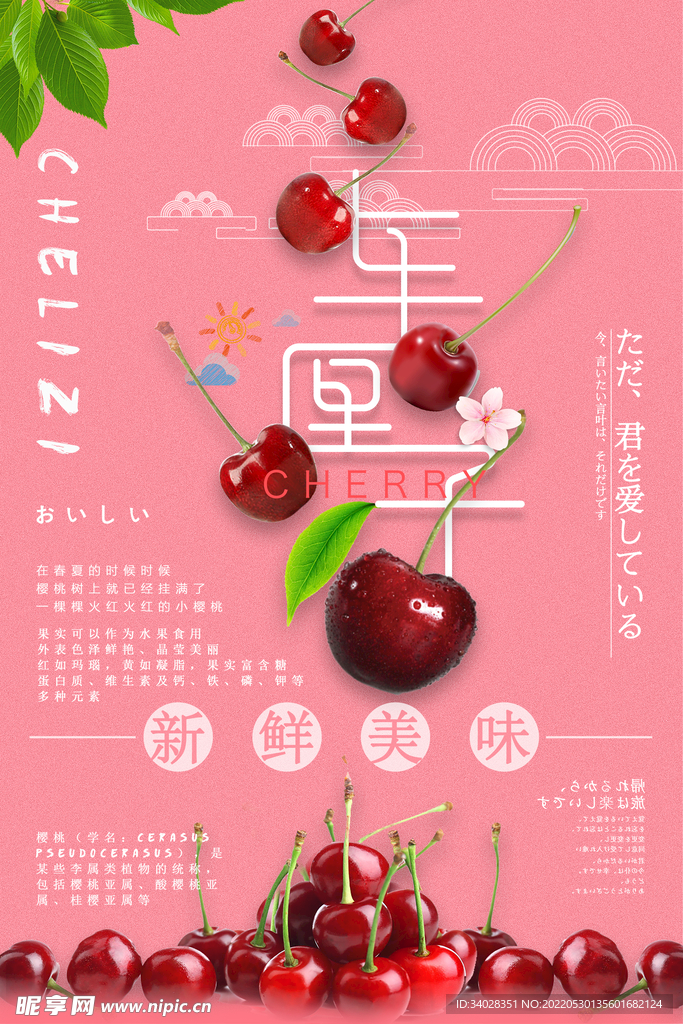 美味车厘子