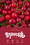 樱桃海报