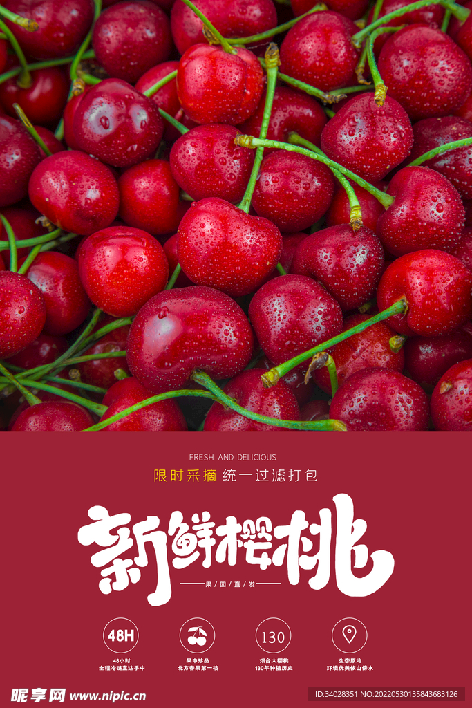 樱桃海报