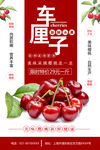 车厘子海报
