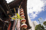 庭院