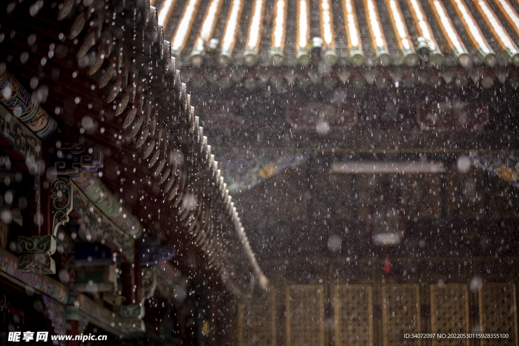 雨中庭院