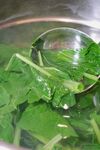 苦菜汤