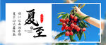 荔枝