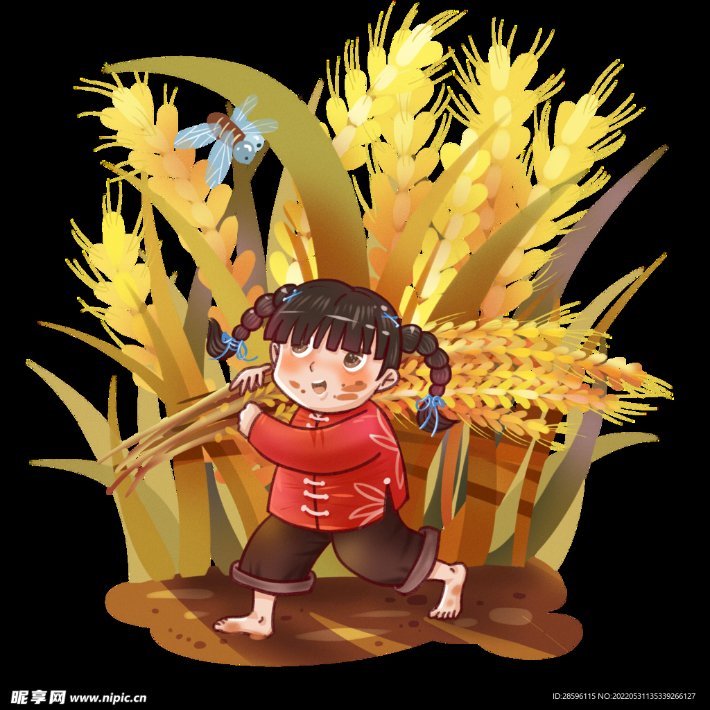 芒种             
