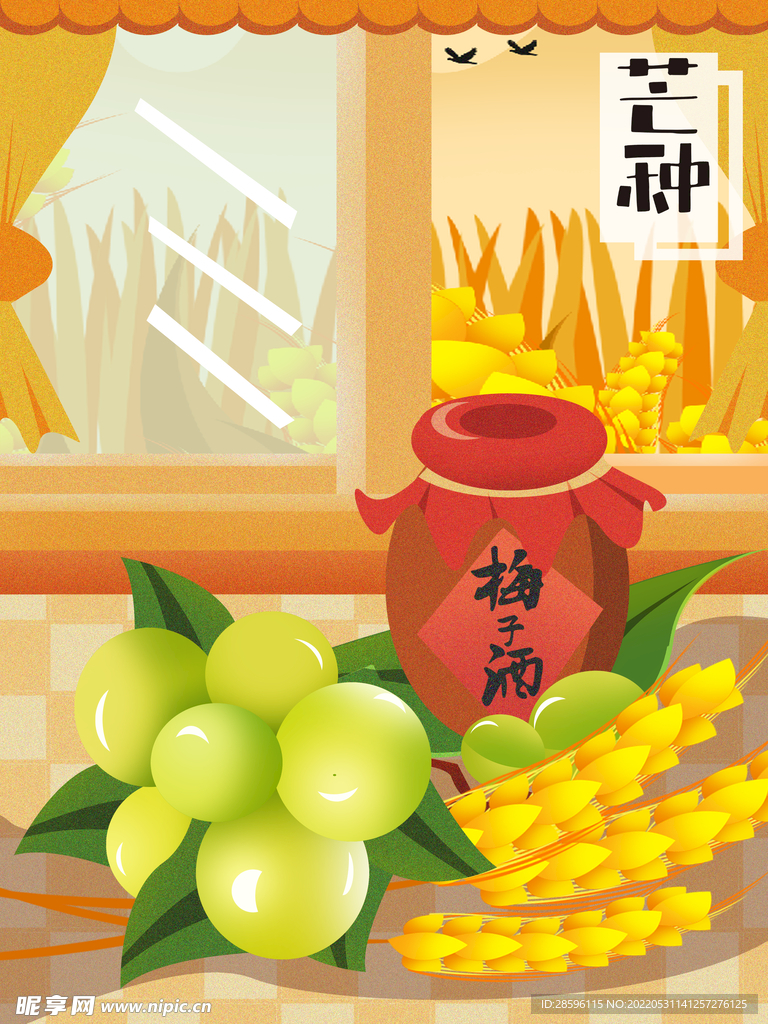 芒种             