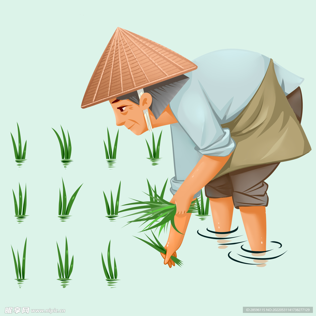 芒种             