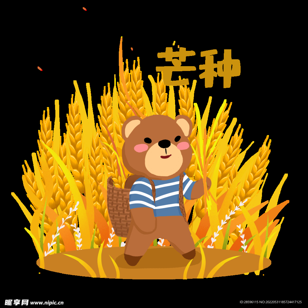 芒种             