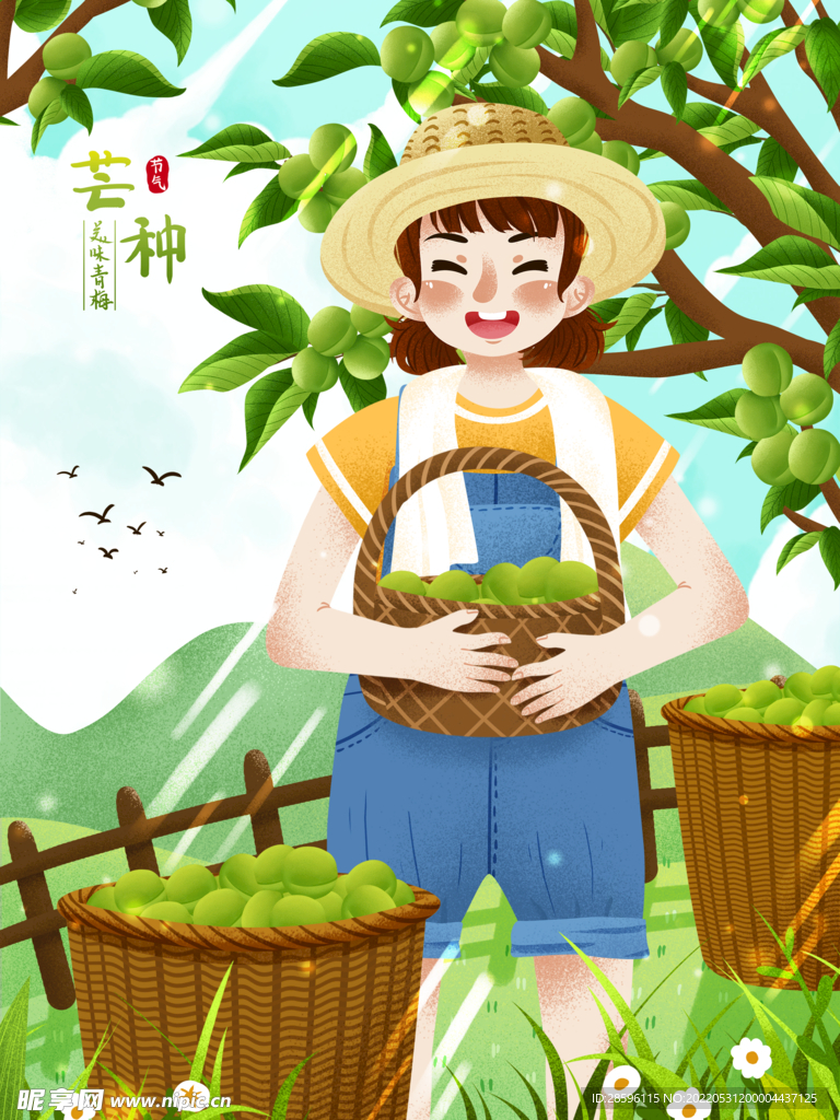 芒种             