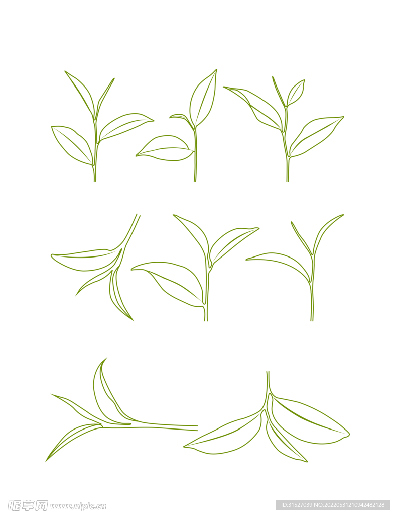 简约手绘新鲜绿色茶叶
