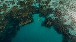 大海
