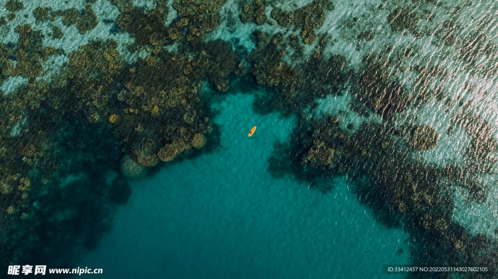 大海