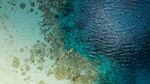 大海
