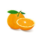 手绘插画橘子水果橙子