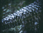 下雨 