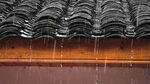 下雨  