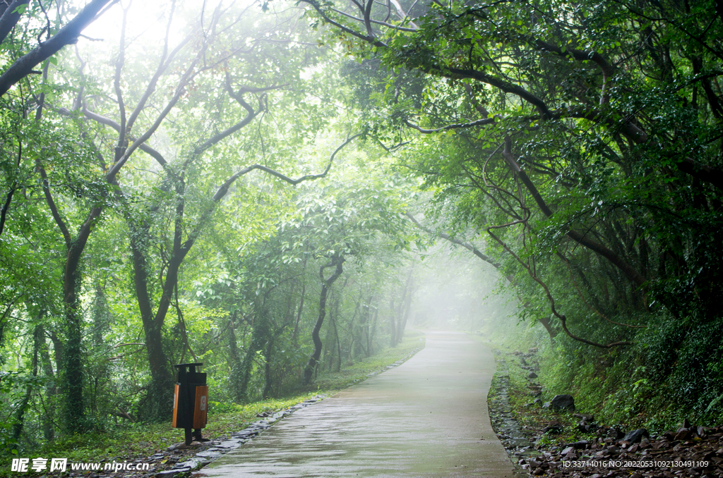 下雨  