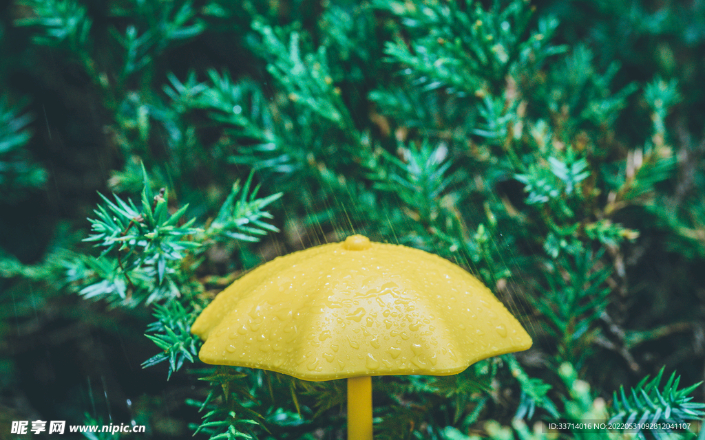 下雨  