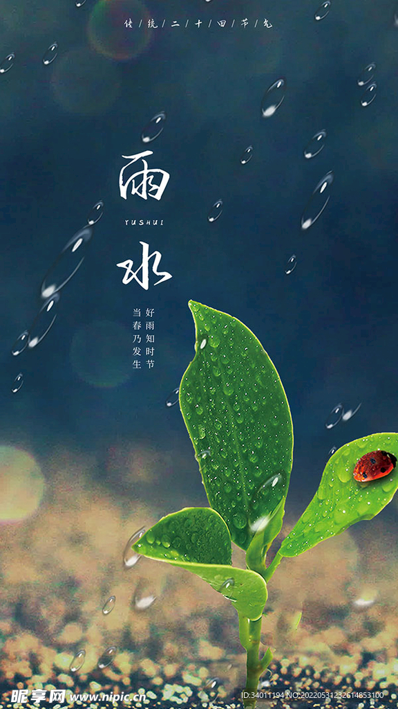 24节气雨水海报