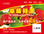 草莓鲜果不干胶标签贴纸
