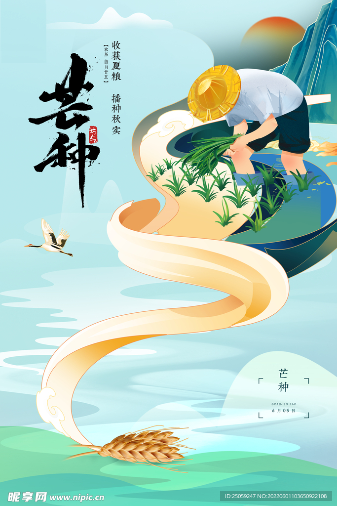 芒种