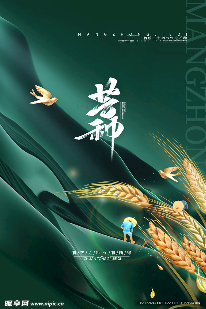 芒种