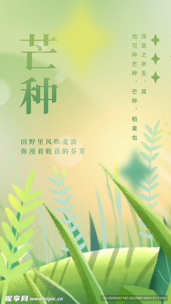 芒种