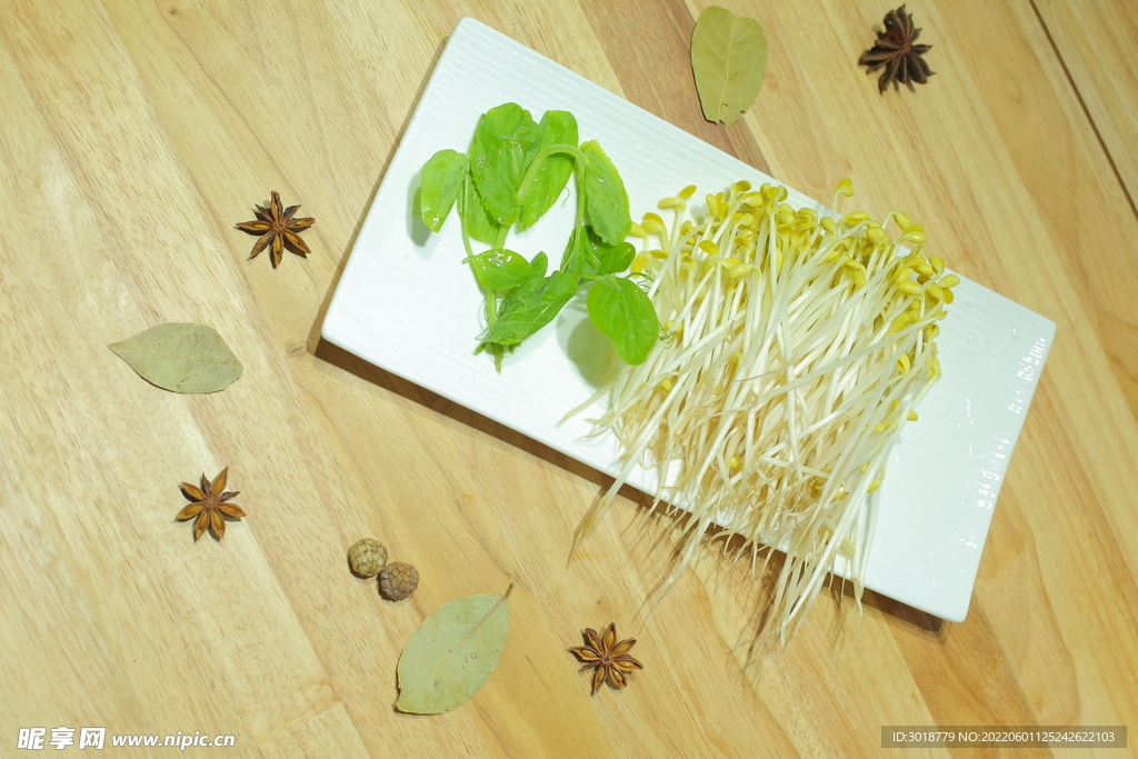豆芽