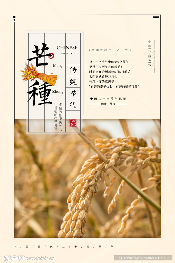 芒种