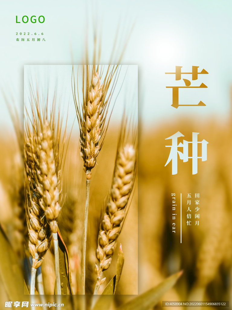 芒种