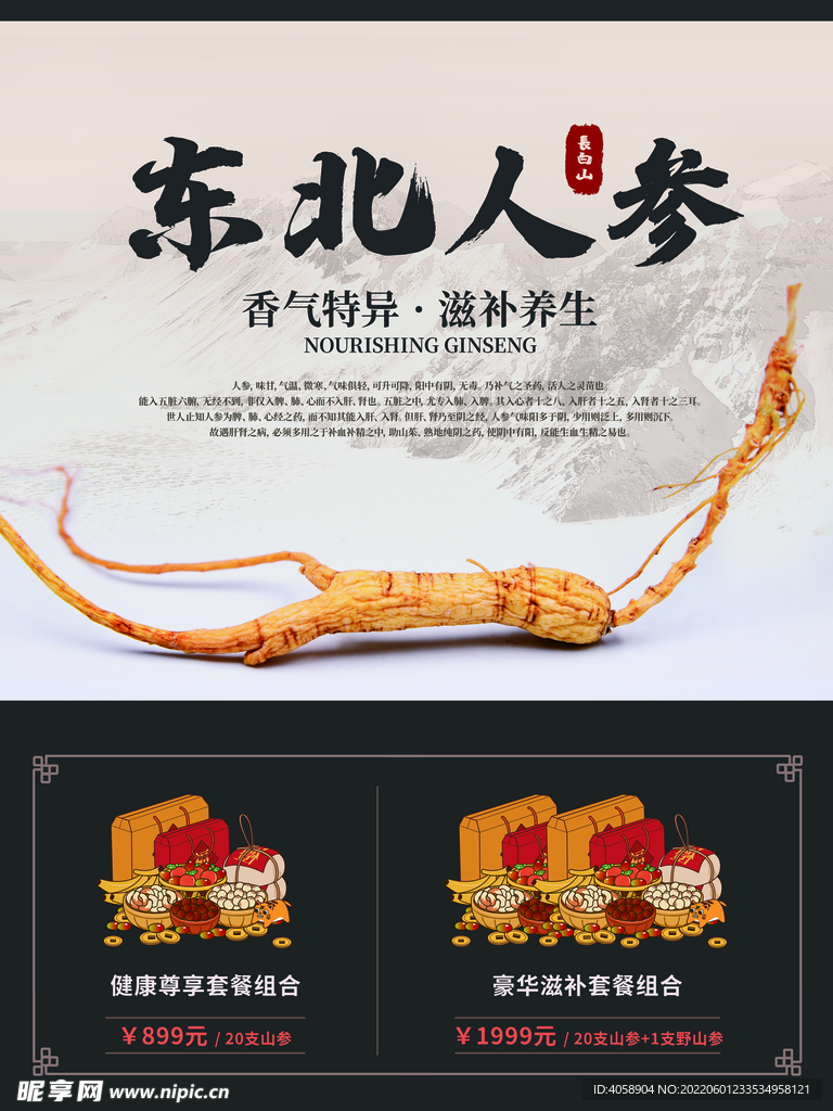东北人参