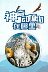 神奇动物在哪里