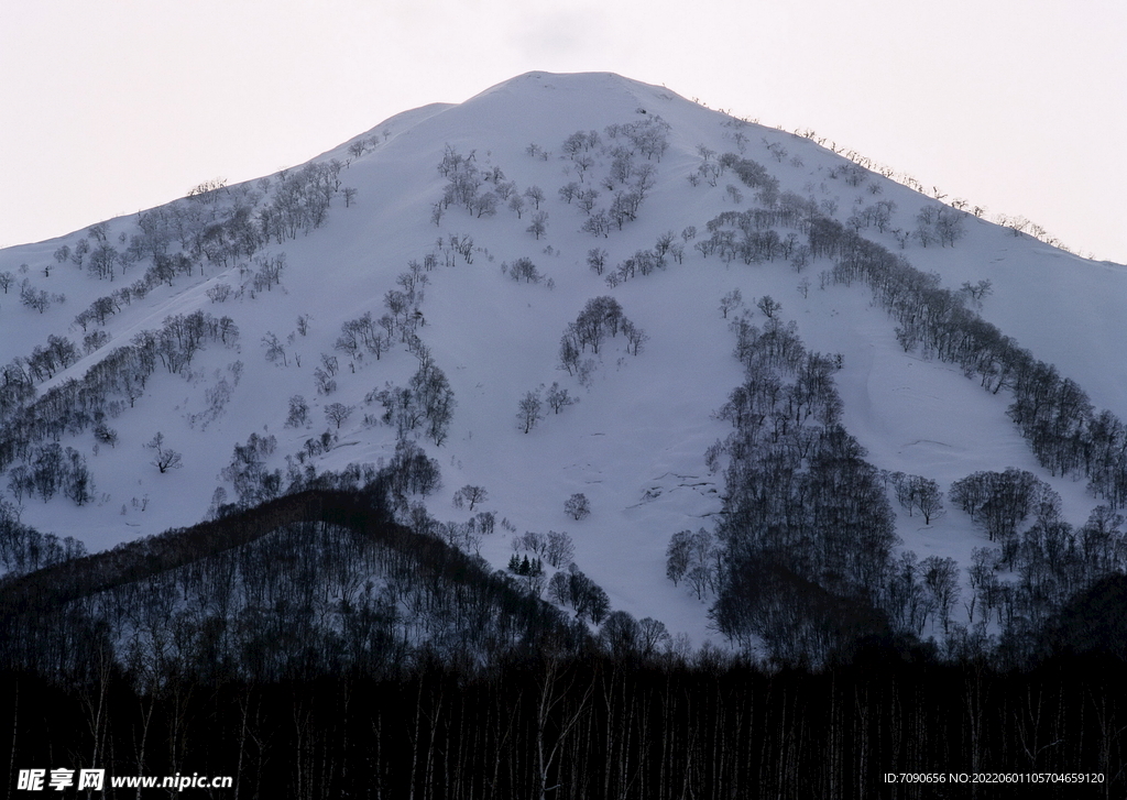 北海道冬景          