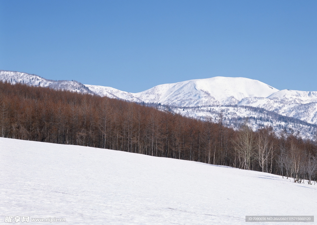 北海道冬景          