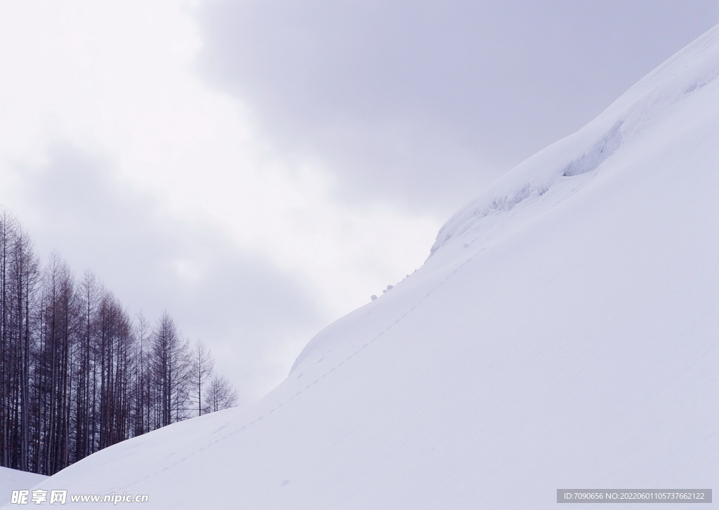 北海道冬景          