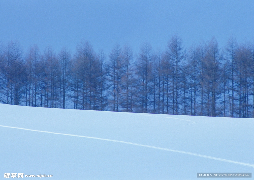 北海道冬景          