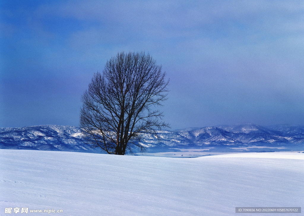 北海道冬景          