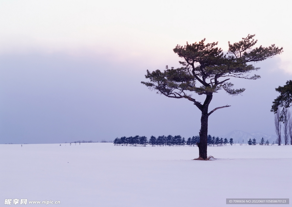 北海道冬景          