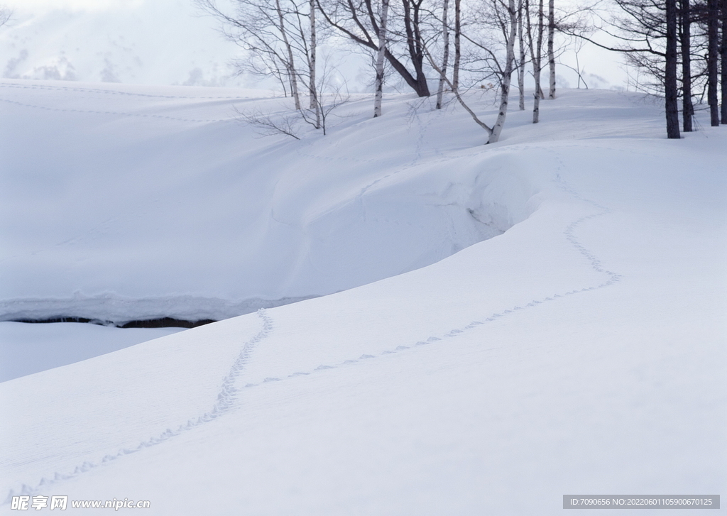 北海道冬景          