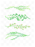 植物绿植