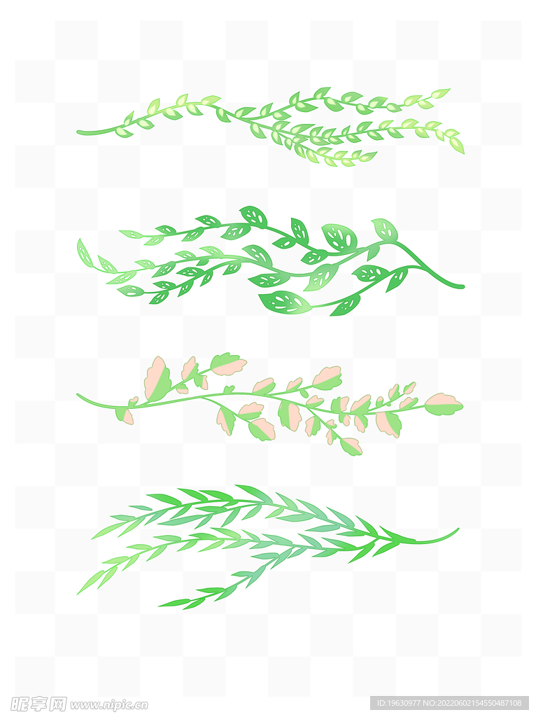 植物绿植