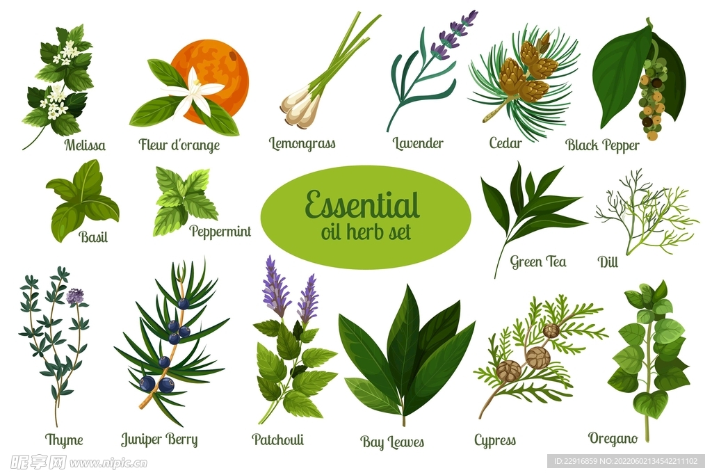 精油药草系列合集