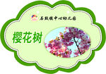樱花树牌