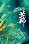 芒种海报