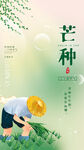 芒种海报