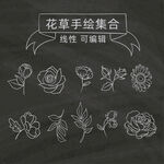 手绘花 大牌 素描 玫瑰 叶片