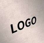 logo 样机 古风 效果图5