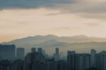 山